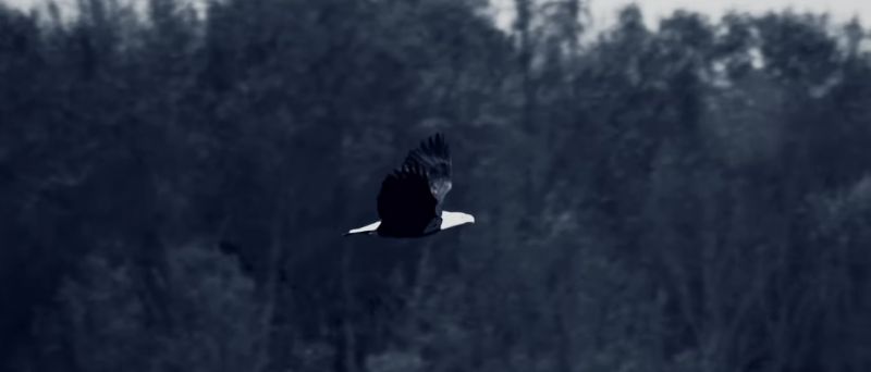 10. September Welttag der Suizidprävention: Das Video „Du hast uns dein Herz geschenkt“