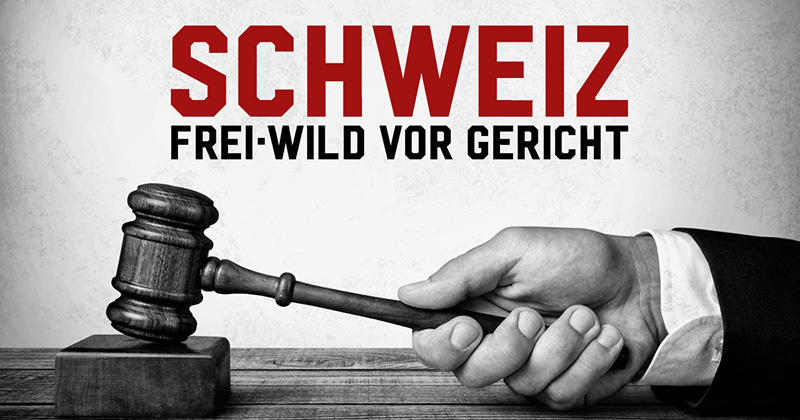 Schweiz: Frei.Wild vor Gericht !